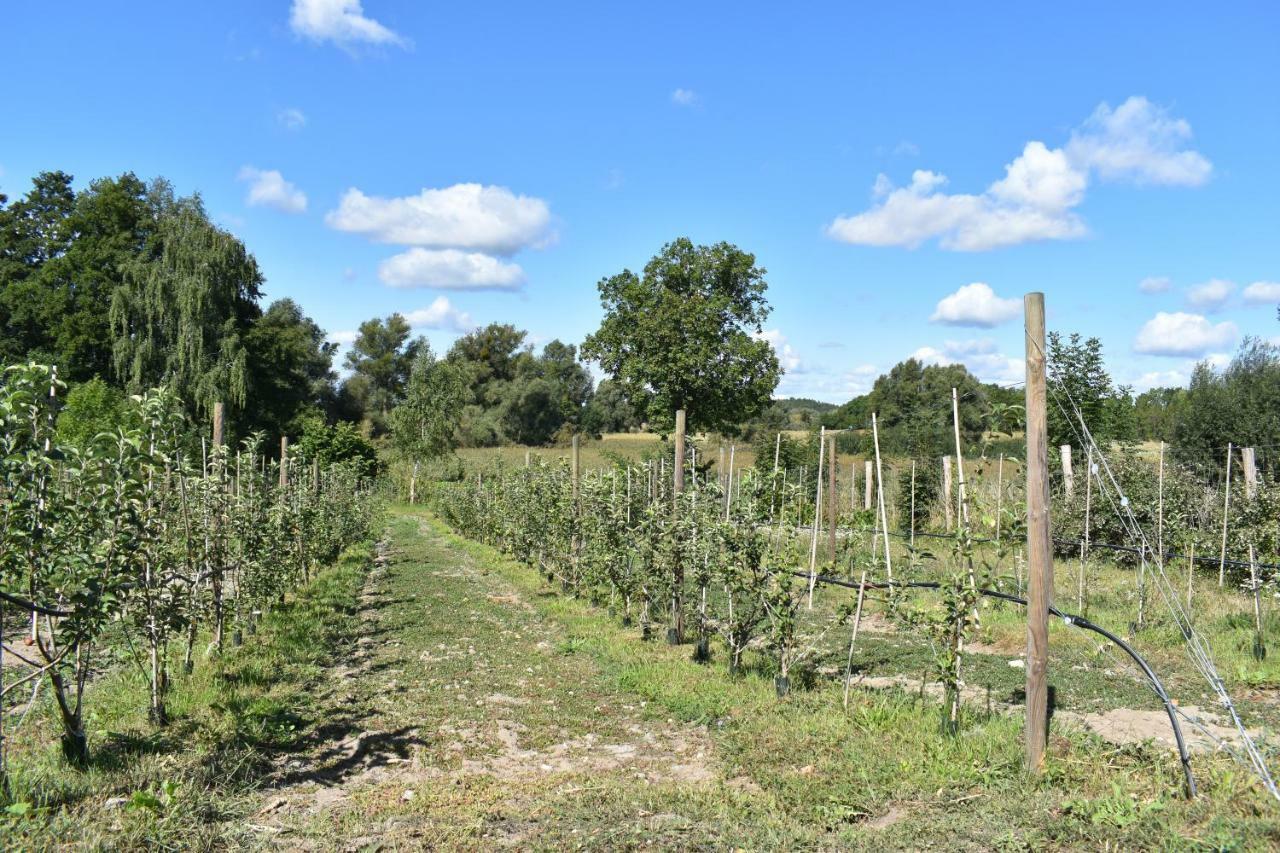 Appartamento Apfelhof Biesenbrow Esterno foto